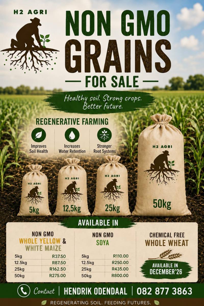 Non-GMO grains for sale